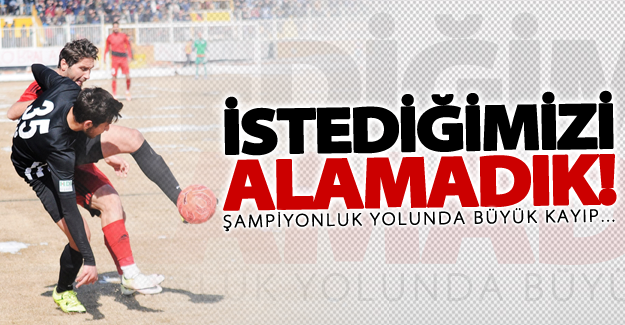 İstedğimizi alamadık!