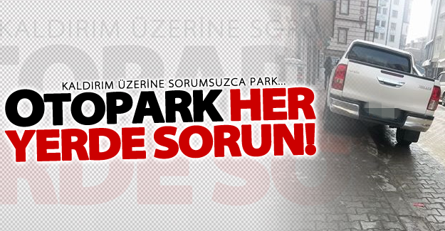 Van'da otopark her yerde sorun!