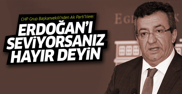 Engin Altay: Erdoğan'ı seviyorsanız 'hayır' deyin