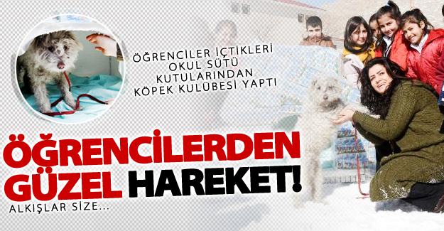 Öğrenciler içtikleri okul sütü kutularından köpek kulübesi yaptı