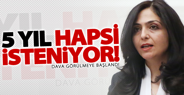 HDP Van milletvekili Ertan'ın yargılanmasına başlandı