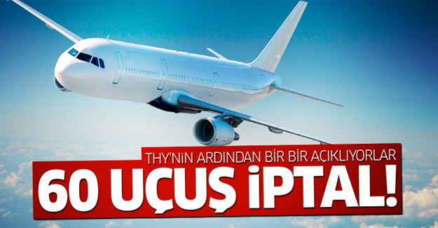 THY'nin ardından Pegasus da uçak seferlerini iptal etti