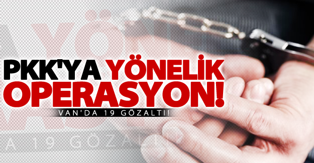 Van'da PKK'ya yönelik operasyon! 19 gözaltı