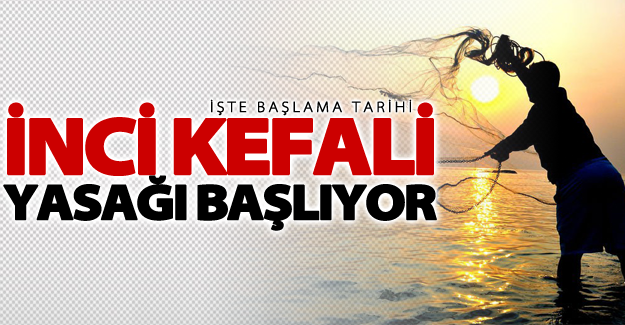 İnci kefali yasağı başlıyor