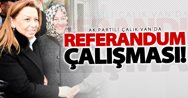 Ak Partili Çalık Van'da referandum çalışması yaptı