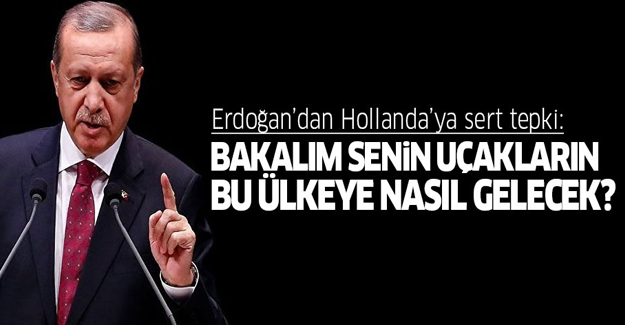 Erdoğan'dan Hollanda'ya sert yanıt