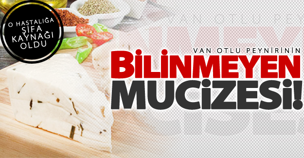 Van otlu peynirinin bilinmeyen mucizesi! O hastalığa şifa oldu