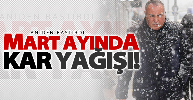 Van'da kar yağışı hayatı olumsuz etkiledi!
