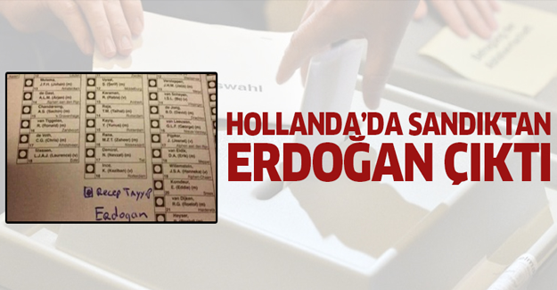 Hollanda'da sandıktan Erdoğan çıktı
