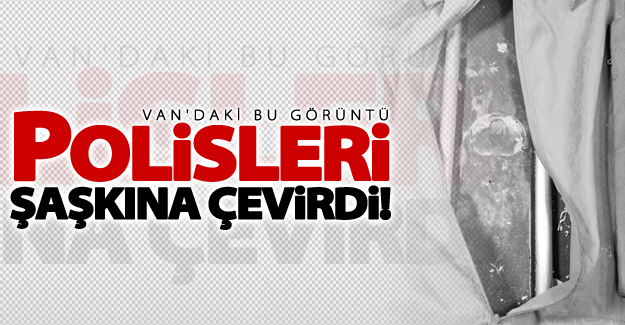 Van'daki bu görüntü polisleri şaşkına çevirdi!