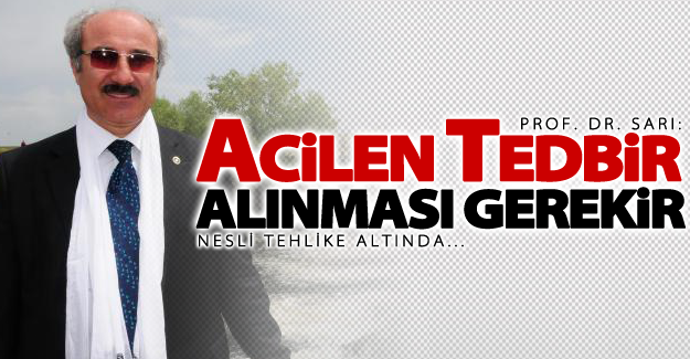 Prof. Dr. Sarı: Acilen tedbir alınması gerekir