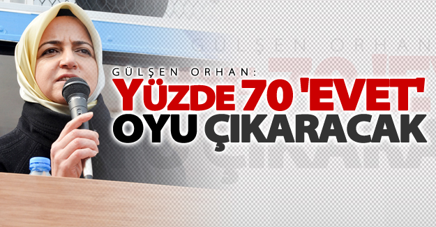 Cumhurbaşkanı Başdanışmanı Orhan: Yüzde 70 'evet' oyu çıkaracak...