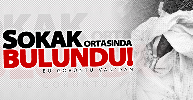 Sokak ortasında bulundu! Bu görüntü Van'dan