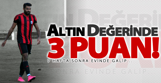 Van Büyükşehir Belediyespor evinde kazanmayı bildi