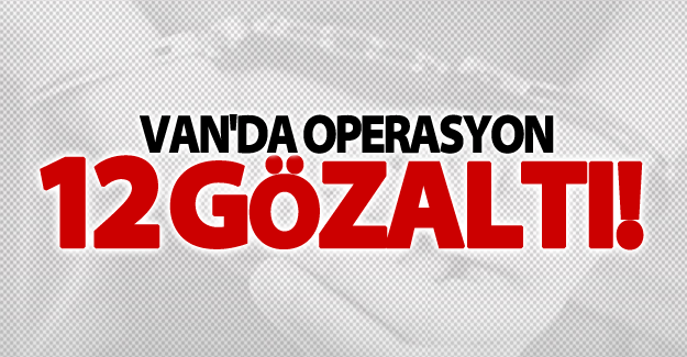 Van'da eş zamanlı adreslere operasyon! 12 gözaltı