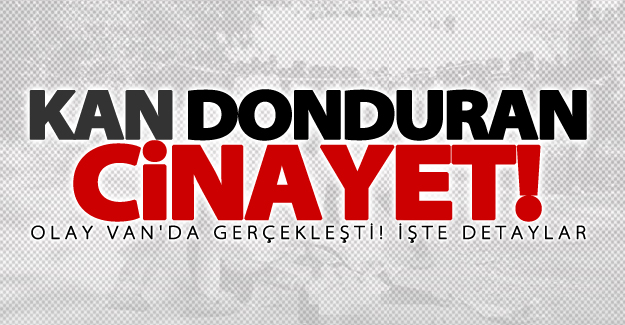 Van'da kan donduran cinayet!