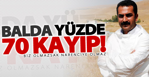 Van'daki arıcılar kışı geçirmek için alternatif yer arayışında