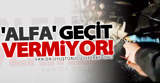 Van'da 'Alfa' geçit vermiyor