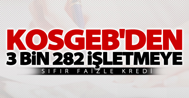 KOSGEB'den 3 Bin 282 işletmeye sıfır faizle kredi
