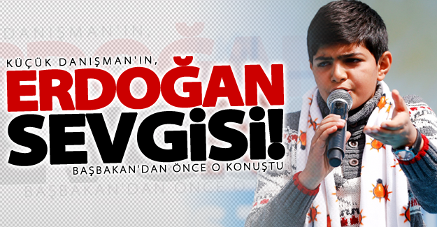 Küçük Danışman'ın, Erdoğan sevgisi