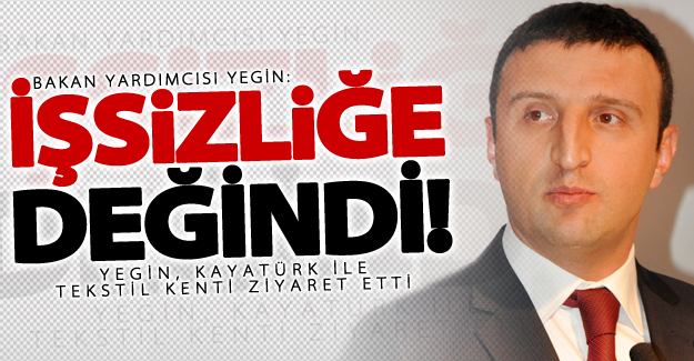 Bakan Yardımcısı Yegin Van'daki işsizlik hakkında bakın ne dedi?