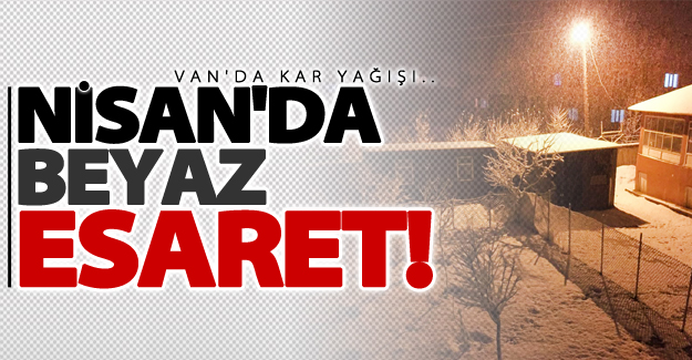 Van'da kar yağışı