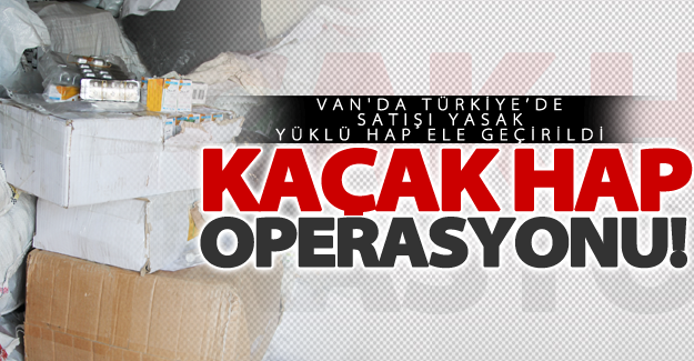 Van'da Türkiye’de satışı yasak hap ele geçirildi