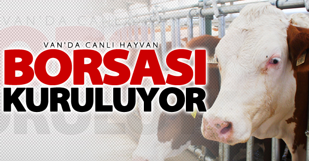 Van’da canlı hayvan borsası kuruluyor