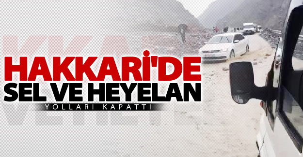 Hakkari-Van Karayolu'nda sel ve heyelan yolları kapattı