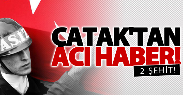 SON DAKİKA! Van'da PKK'dan bombalı tuzak; 2 şehit