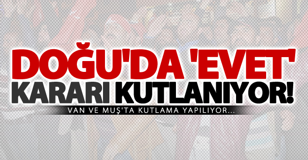 Van'da "evet" kararı kutlanıyor