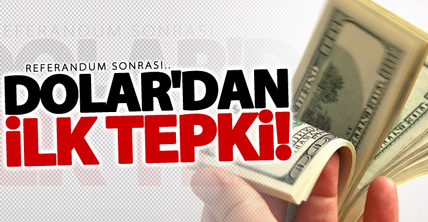 Referandum sonuçlarına dolardan ilk tepki