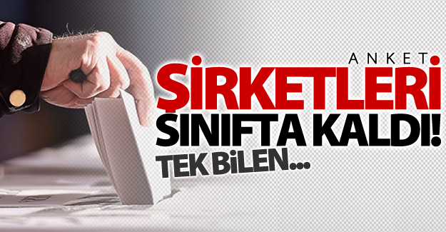 Referandumda anket şirketleri sınıfta kaldı