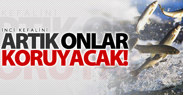 İnci kefalini artık onlar koruyacak!