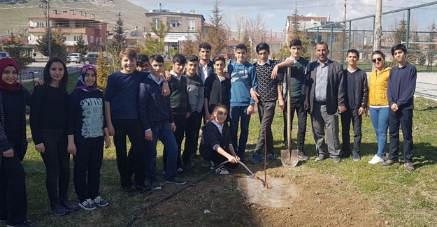 İpekyolu Belediyesi 'den Yeşil Kuşak Projesi