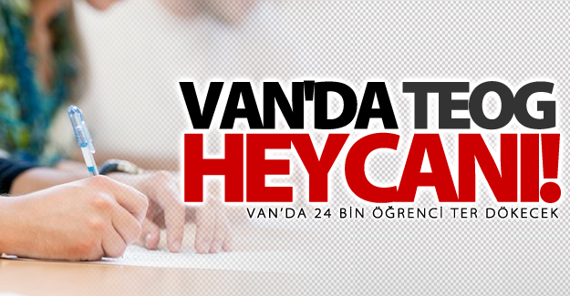 Van'da TEOG sınavı heycanı!