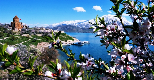 Akdamar Adası çiçeklere büründü