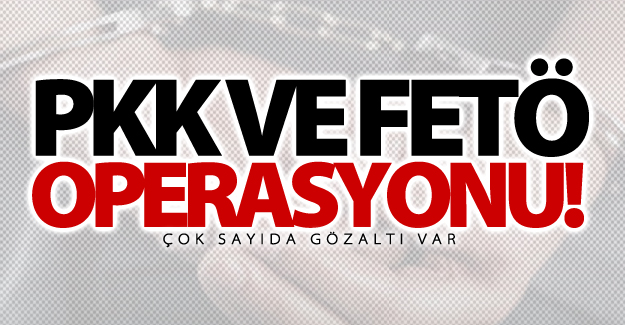 Van'da eş zamanlı PKK ve FETÖ operasyonu! Çok sayıda gözaltı var
