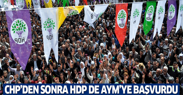 HDP, AYM'ye başvurdu