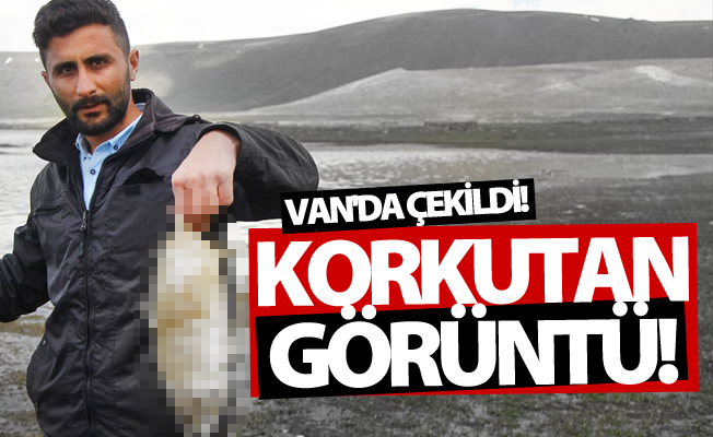 Van'da korkutan görüntü!