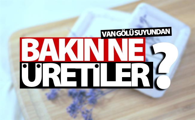 Van Gölü suyundan bakın ne üretiler?