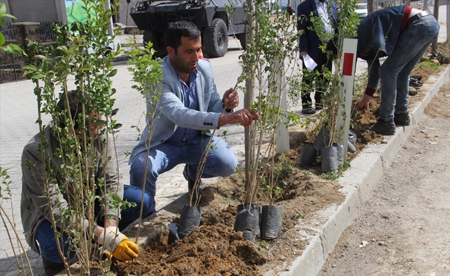 Başkale'de belediye çalışmaları