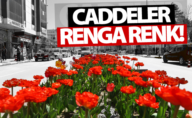 Van’da renk cümbüşü!