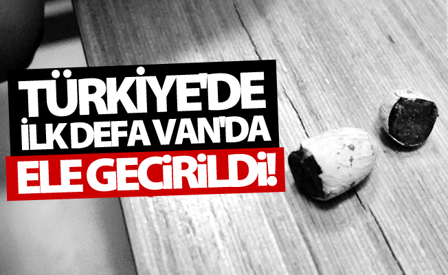 Türkiye ilk defa Van'da ele geçirildi!