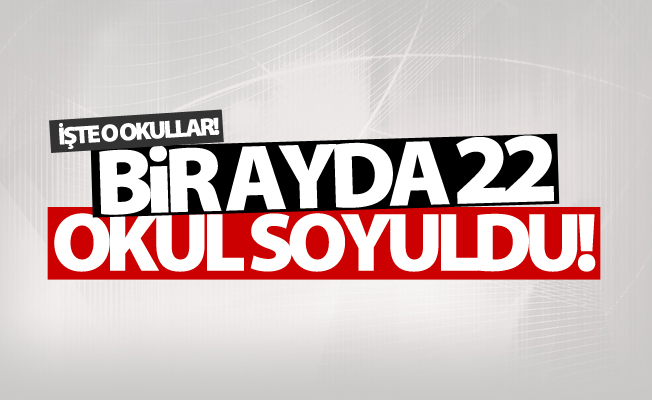 Van'da bir ayda 22 okul soyuldu!