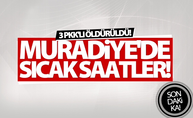 Muradiye'de çatısma! 3 PKK'lı öldürüldü