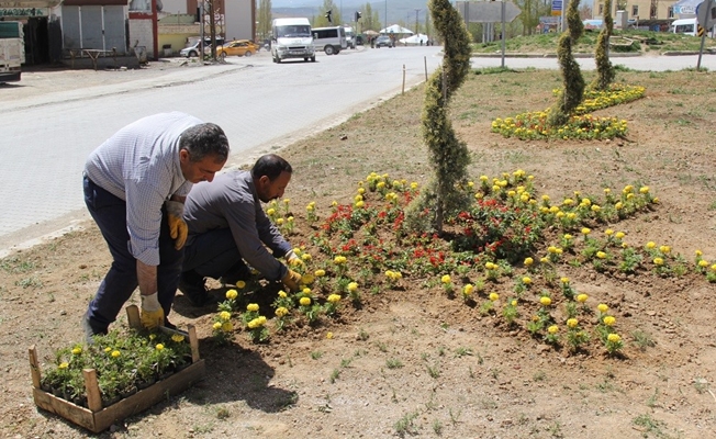 Başkale Belediyesinden çiçek ekimi