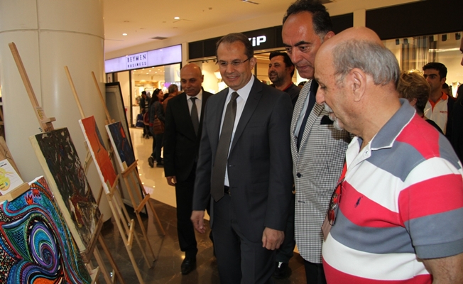 2. Van Sergisi ve Çalıştayı