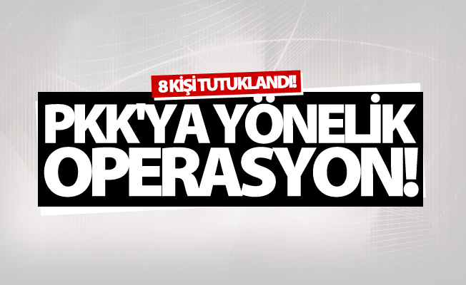 Van'da PKK'ya yönelik operasyon! 8 kişi tutuklandı