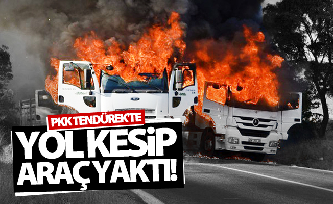 PKK Tendürek'te yol kesip araç yaktı!